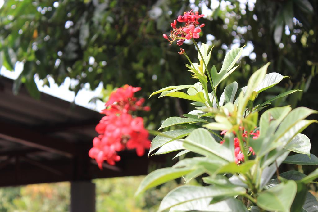 Lanta Happy Hill Hotel Koh Lanta Luaran gambar